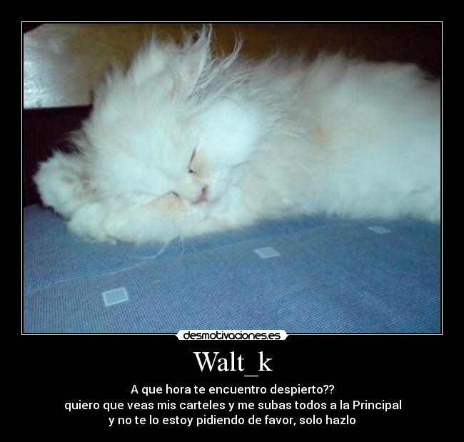 Walt_k - A que hora te encuentro despierto??
quiero que veas mis carteles y me subas todos a la Principal
y no te lo estoy pidiendo de favor, solo hazlo