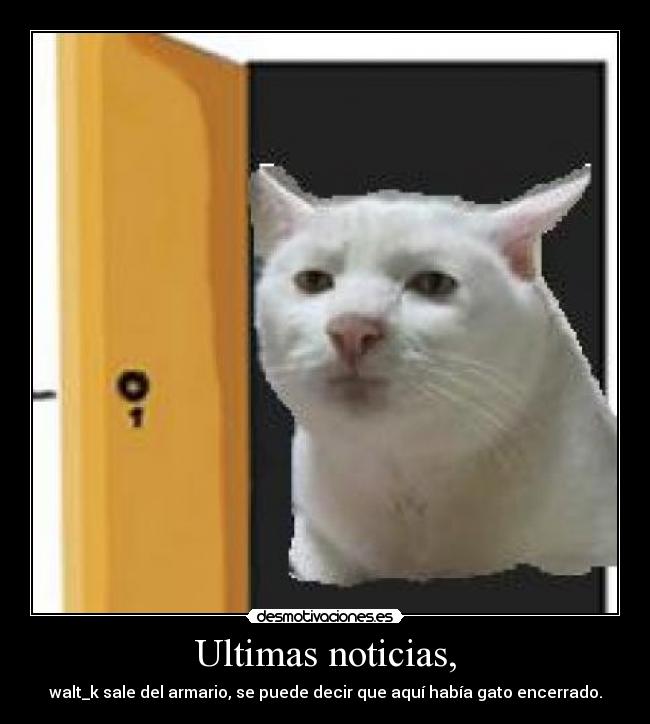 Ultimas noticias, - 