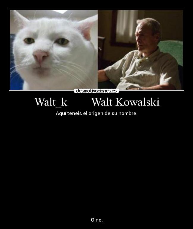 Walt_k        Walt Kowalski - 