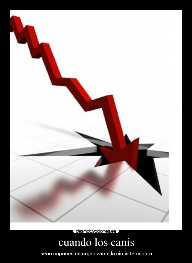 cuando los canis - sean capaces de organizarse,la cirsis terminara