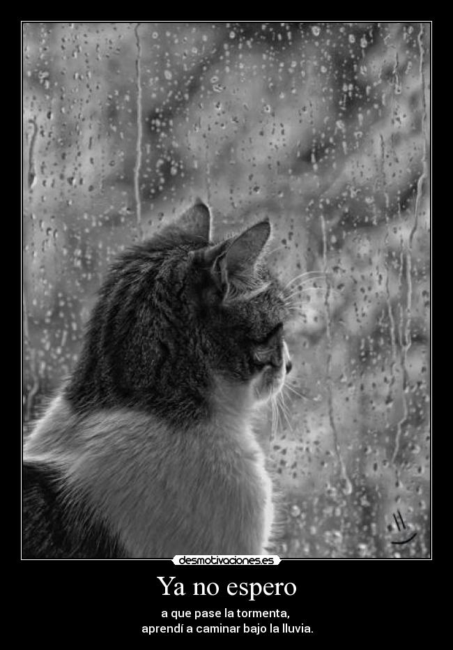 Ya no espero - a que pase la tormenta, 
aprendí a caminar bajo la lluvia.