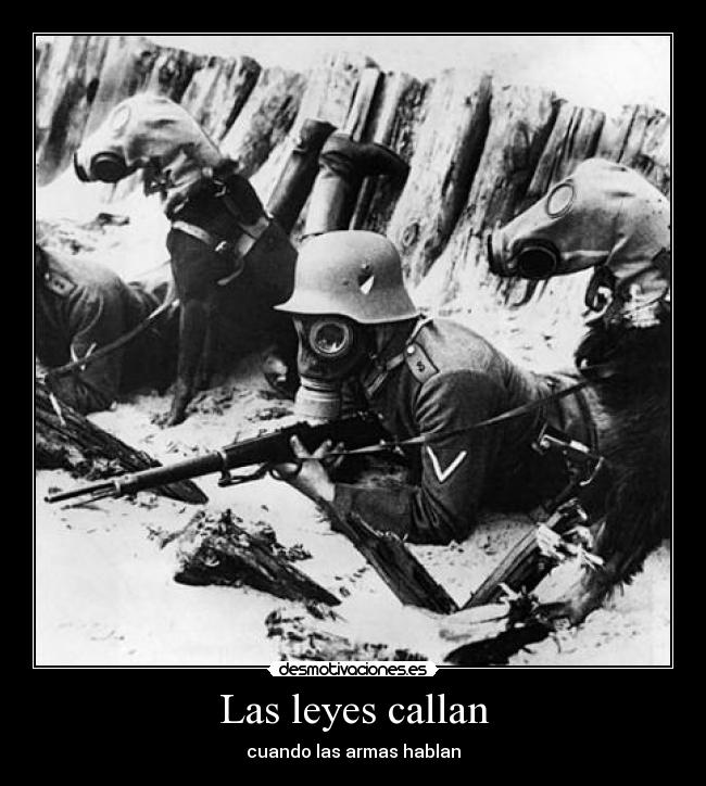 Las leyes callan - 