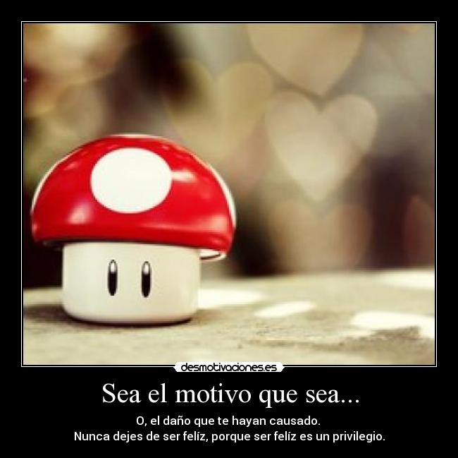 Sea el motivo que sea... - O, el daño que te hayan causado. 
Nunca dejes de ser felíz, porque ser felíz es un privilegio.