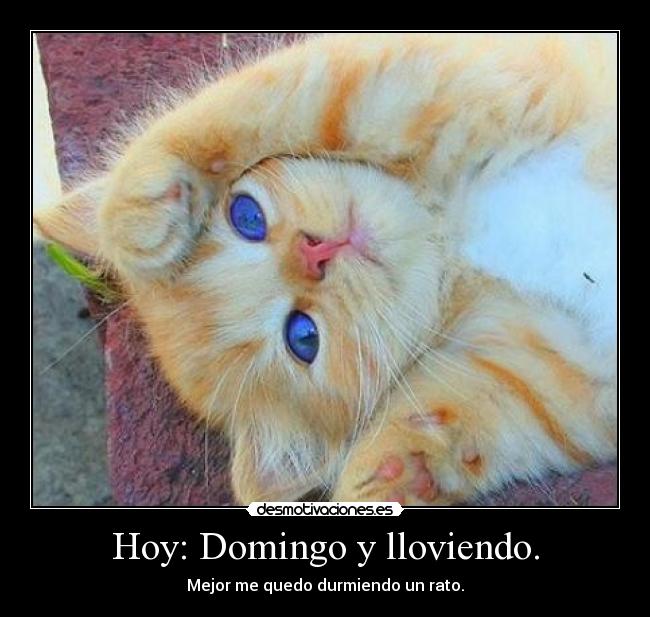 Hoy: Domingo y lloviendo. - Mejor me quedo durmiendo un rato.