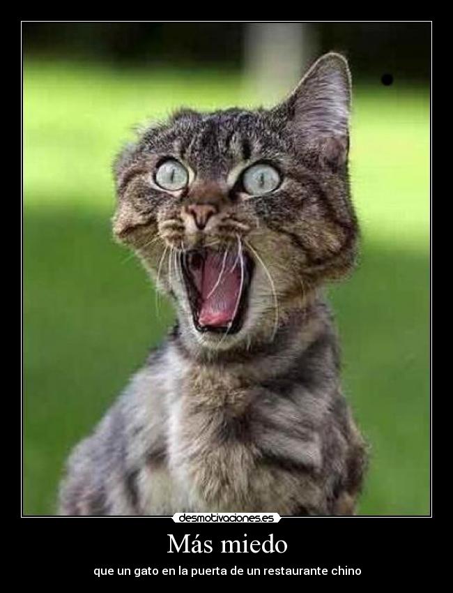 Más miedo -