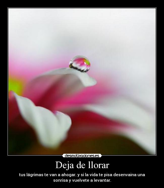 Deja de llorar - 