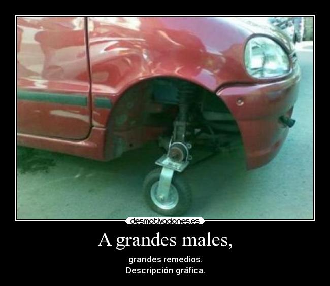 A grandes males, - grandes remedios.
Descripción gráfica.
