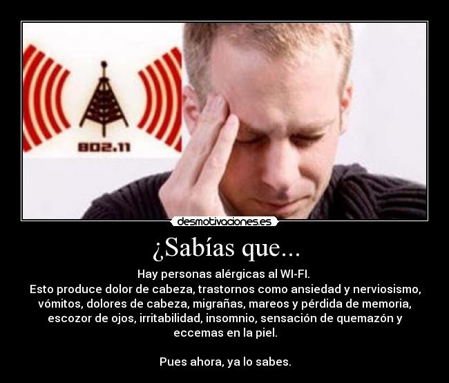 carteles alergia wifi desmotivaciones