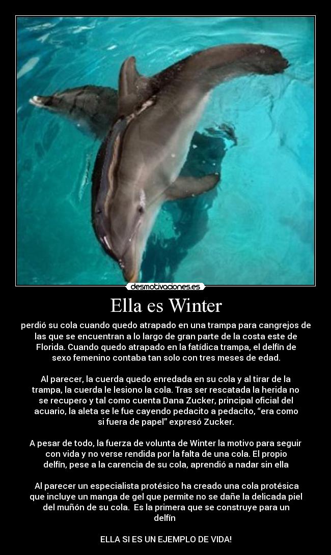 Ella es Winter - 
