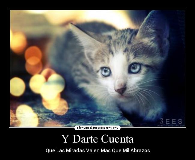 carteles abrazos gatos ojos miradas desmotivaciones