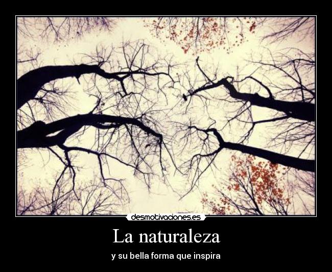 La naturaleza - y su bella forma que inspira