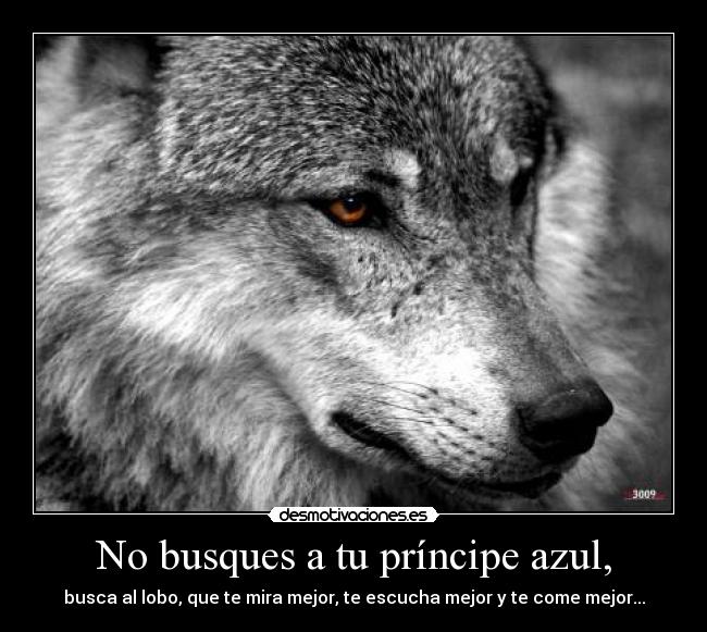 No busques a tu príncipe azul, - busca al lobo, que te mira mejor, te escucha mejor y te come mejor...