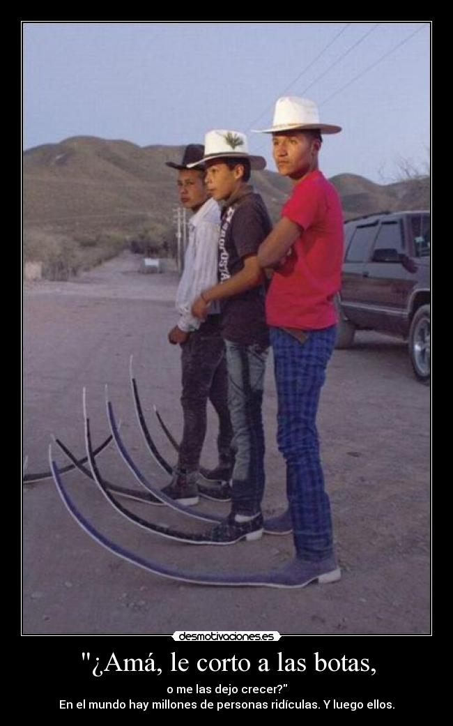 carteles ridiculez ridiculo tonto extravagante botas raro tipico crecer grande largo absurdo atipico corta desmotivaciones