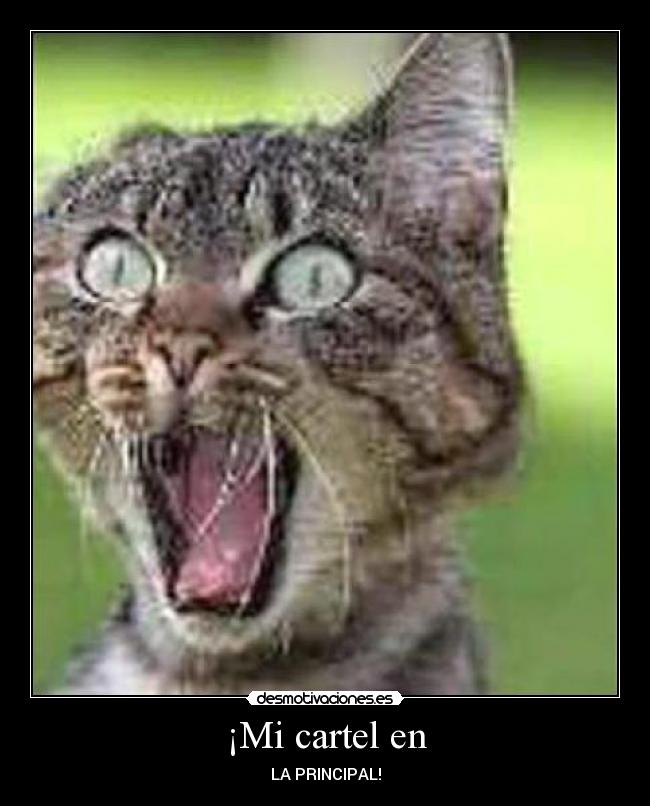 ¡Mi cartel en - LA PRINCIPAL!