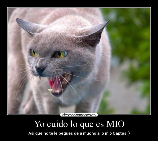 Yo cuido lo que es MIO - Así que no te le pegues de a mucho a lo mio Captas ;)
