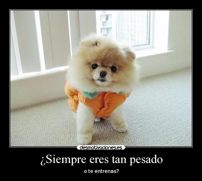 ¿Siempre eres tan pesado - 