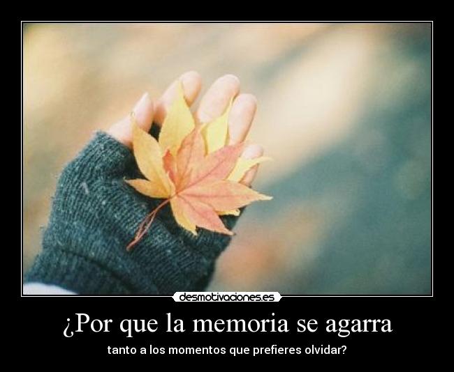 carteles its more than feeling desmotivaciones