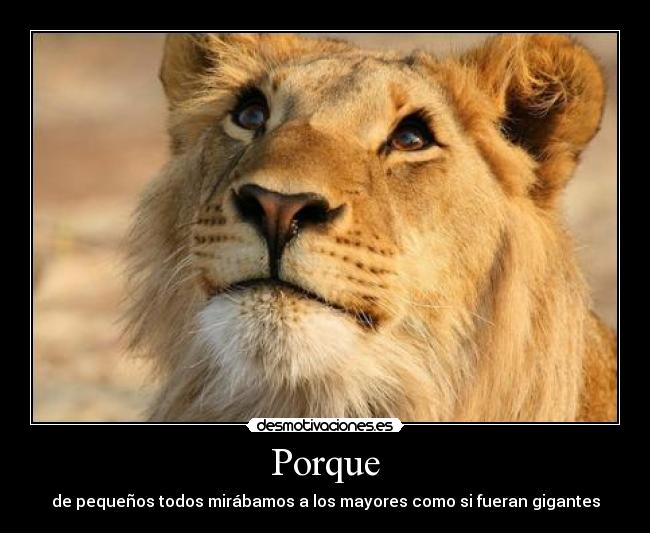 Porque -