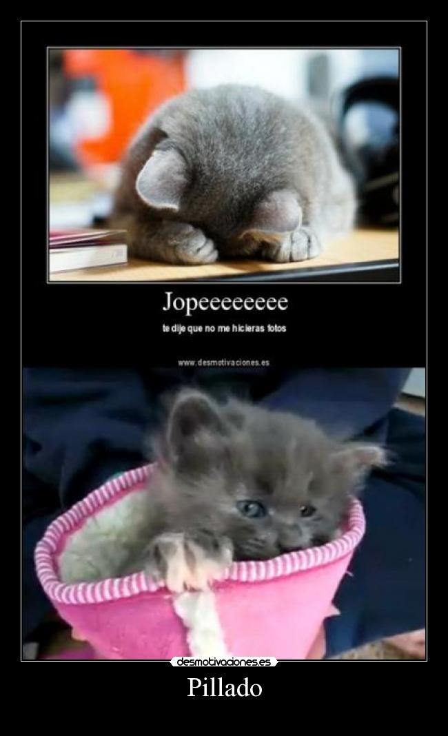 Pillado - 
