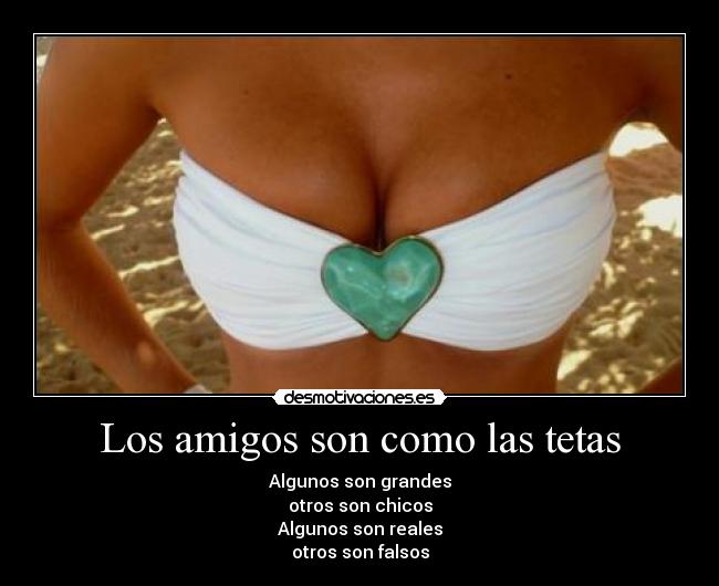 Los amigos son como las tetas - Algunos son grandes
otros son chicos
Algunos son reales
otros son falsos