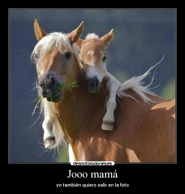 Jooo mamá - yo también quiero salir en la foto