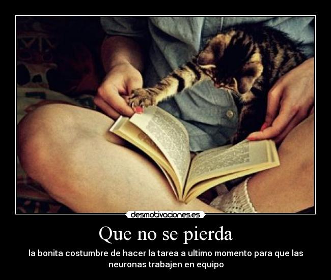 Que no se pierda -