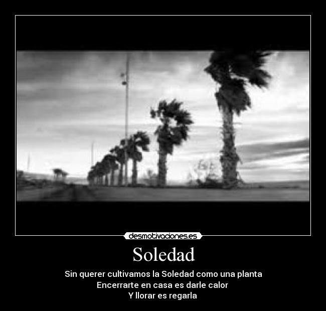 Soledad - Sin querer cultivamos la Soledad como una planta
Encerrarte en casa es darle calor 
Y llorar es regarla
