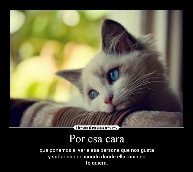Por esa cara - que ponemos al ver a esa persona que nos gusta
y soñar con un mundo donde ella también
te quiera.