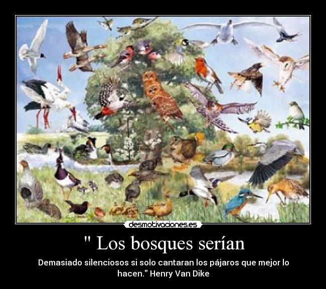 Los bosques serían -