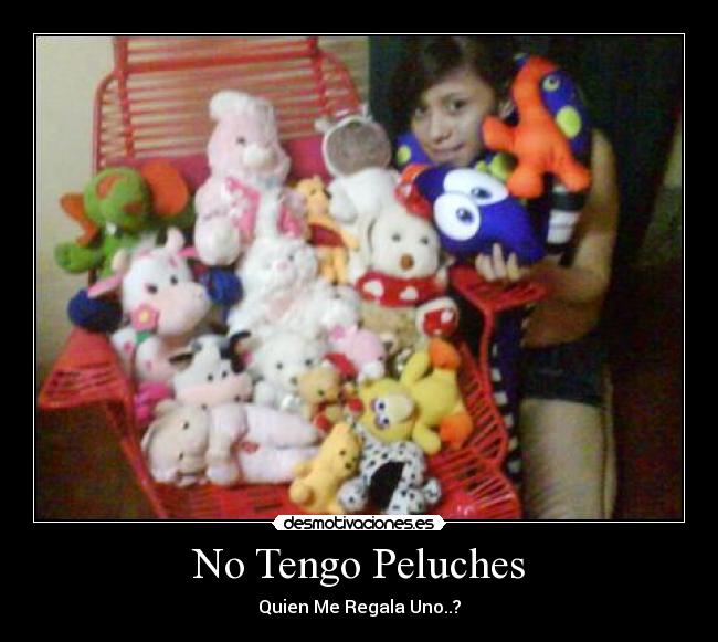 No Tengo Peluches -