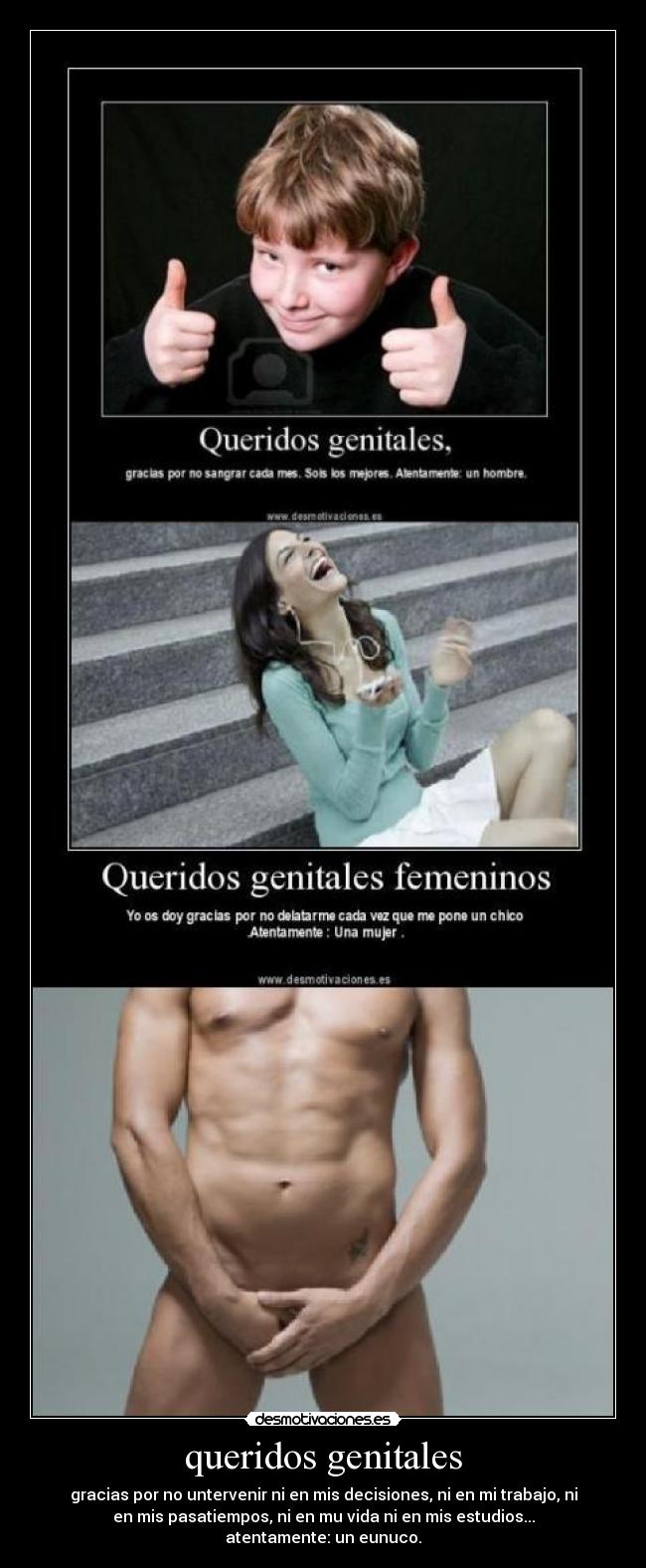 queridos genitales - gracias por no untervenir ni en mis decisiones, ni en mi trabajo, ni
en mis pasatiempos, ni en mu vida ni en mis estudios...
atentamente: un eunuco.