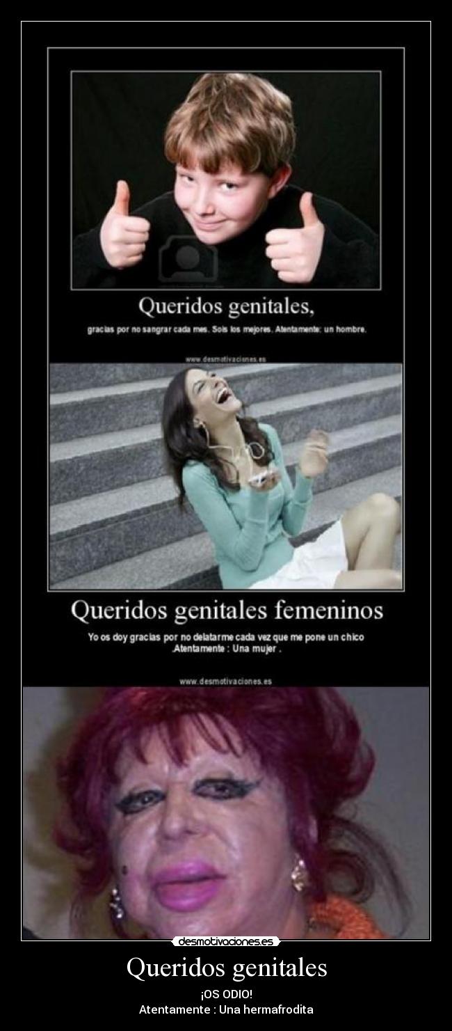 carteles queridos genitales desmotivaciones