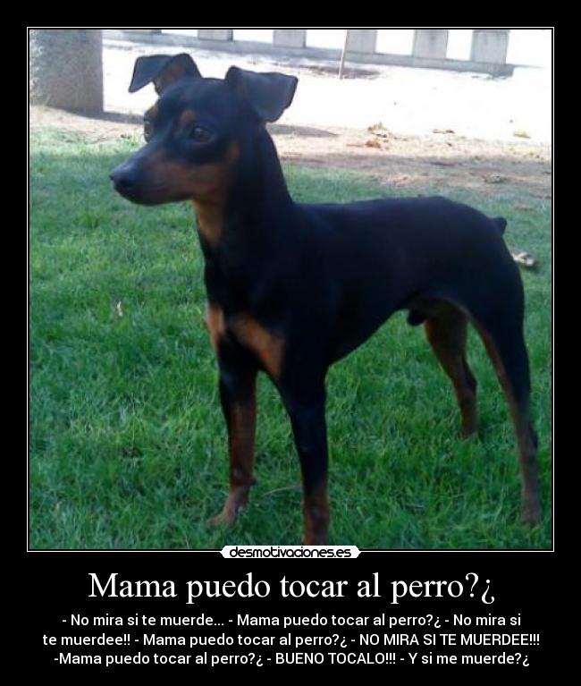 Mama puedo tocar al perro?¿ -