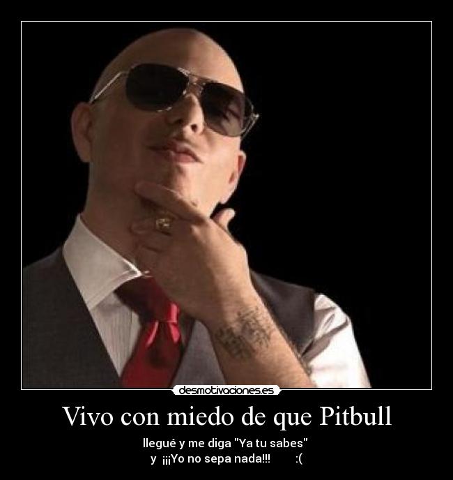 Vivo con miedo de que Pitbull - llegué y me diga Ya tu sabes 
y  ¡¡¡Yo no sepa nada!!!         :(