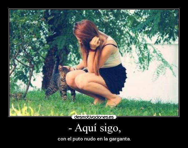 - Aquí sigo, - 