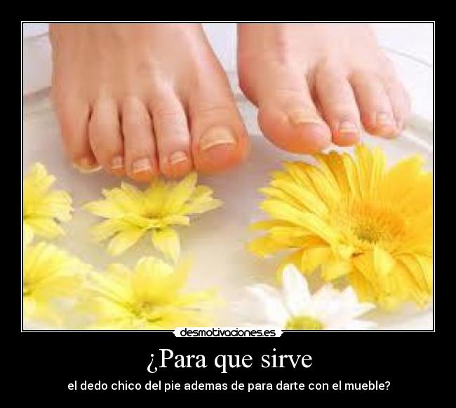 ¿Para que sirve -