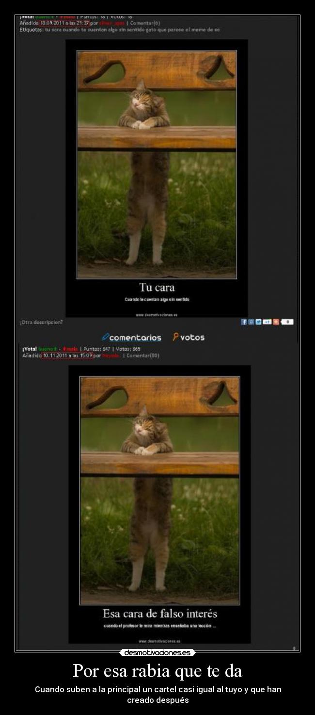 Por esa rabia que te da - Cuando suben a la principal un cartel casi igual al tuyo y que han creado después