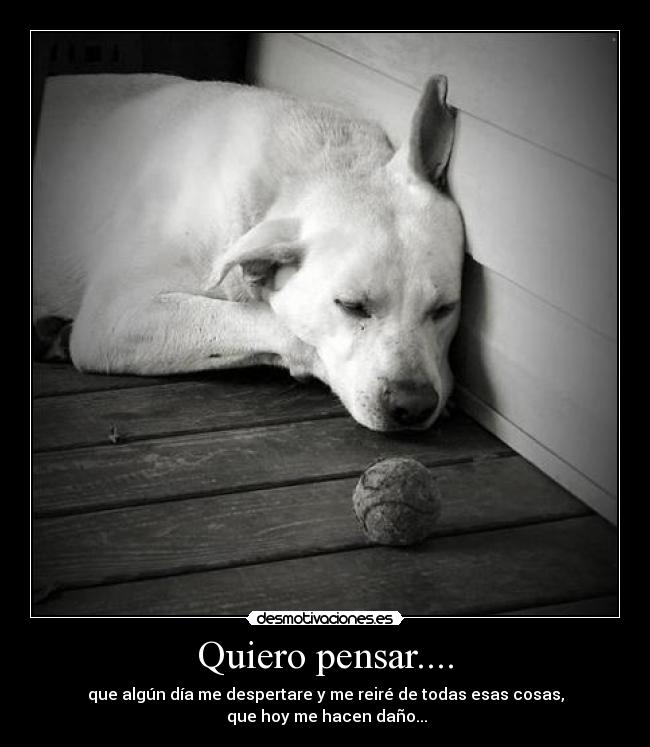 Quiero pensar.... - 