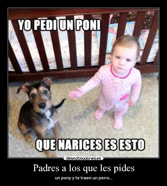 carteles padres pony bebe perro padre desmotivaciones