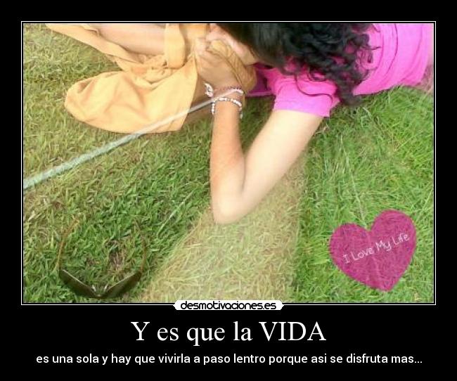 carteles vida vida desmotivaciones