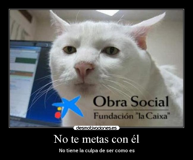 carteles chocovarro clanchocoputa juas juas tomes mal walt que ocurrio chistaco xdd desmotivaciones