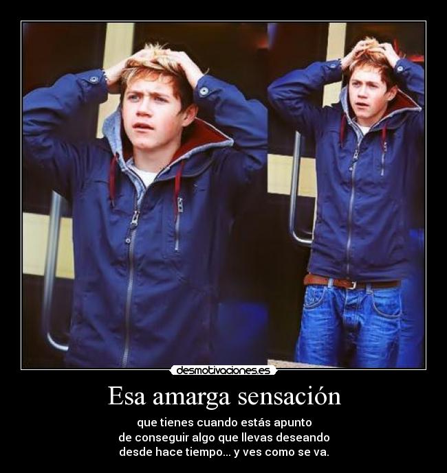 Esa amarga sensación - que tienes cuando estás apunto
de conseguir algo que llevas deseando
desde hace tiempo... y ves como se va.