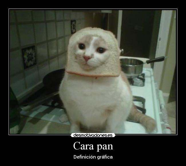 Cara pan - Definición gráfica