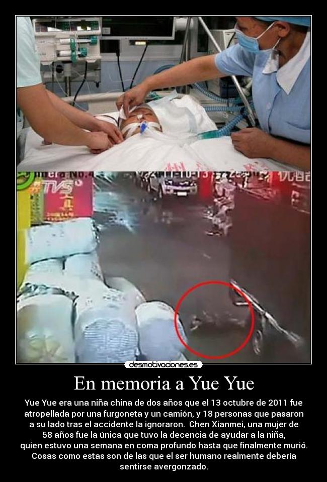 En memoria a Yue Yue - 