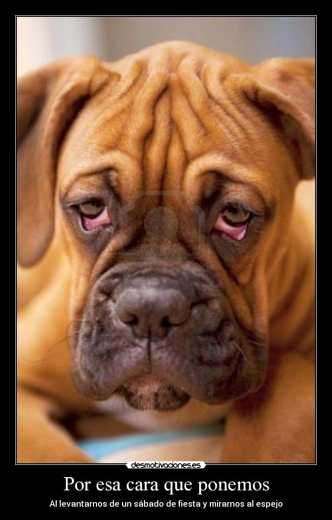 Por esa cara que ponemos - 