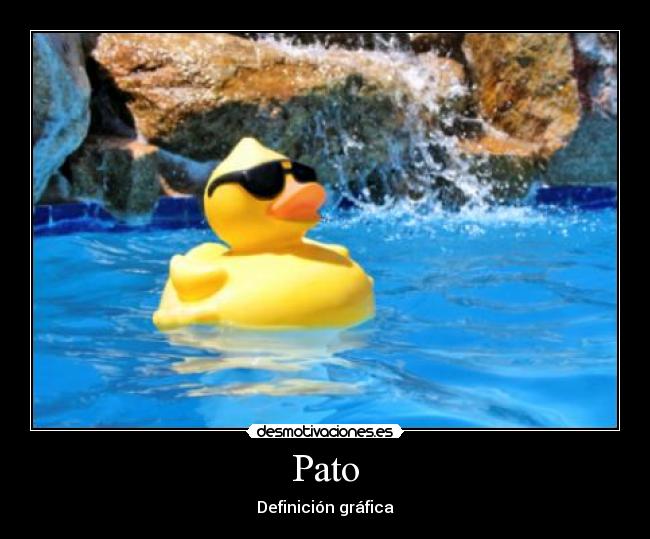 Pato - Definición gráfica