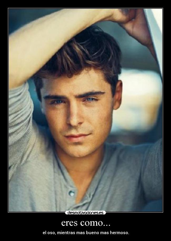 eres como... - el oso, mientras mas bueno mas hermoso.