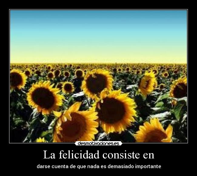La felicidad consiste en -