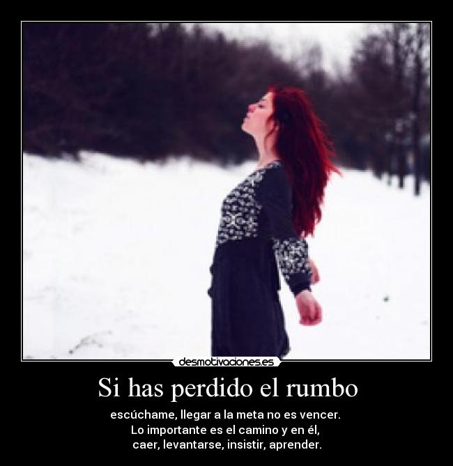 Si has perdido el rumbo - escúchame, llegar a la meta no es vencer.
Lo importante es el camino y en él,
caer, levantarse, insistir, aprender.