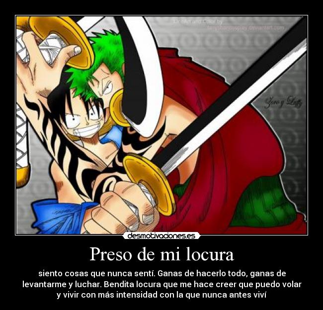 carteles locura one piece luffy zoro locura sentir barra vivir volar luchar estoy loca resubido desmotivaciones